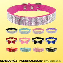 Lade das Bild in den Galerie-Viewer, Glamourös - Hundehalsband für kleine bis mittelgroße Hunde