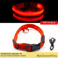 Lade das Bild in den Galerie-Viewer, SafeLight - Halsband für Hunde mit aufladbarem LED