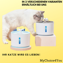 Lade das Bild in den Galerie-Viewer, FreshWater - Wasserbrunnen für Ihr Haustier Katze Hund
