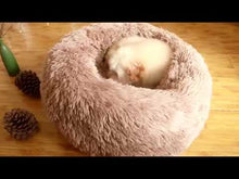 Laden und Abspielen von Videos im Galerie-Viewer, SoftyBed - Hunde / Katzenbett
