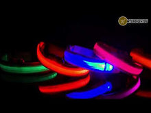 Laden und Abspielen von Videos im Galerie-Viewer, SafeLight - Halsband für Hunde mit aufladbarem LED
