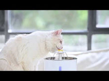 Laden und Abspielen von Videos im Galerie-Viewer, FreshWater - Wasserbrunnen für Ihr Haustier Katze Hund
