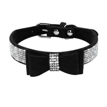 Lade das Bild in den Galerie-Viewer, Glamourös - Hundehalsband für kleine bis mittelgroße Hunde
