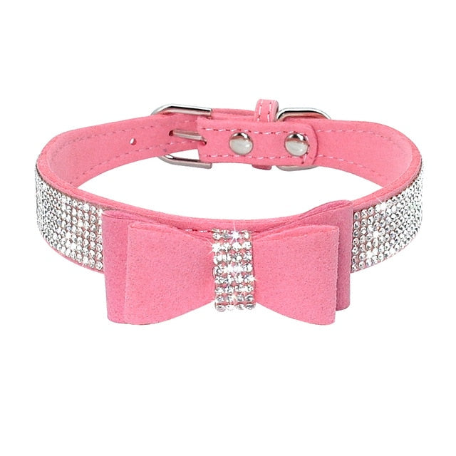 Glamourös - Hundehalsband für kleine bis mittelgroße Hunde