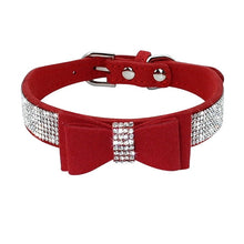 Lade das Bild in den Galerie-Viewer, Glamourös - Hundehalsband für kleine bis mittelgroße Hunde
