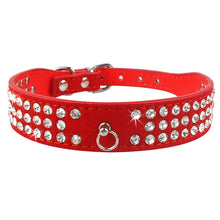 Lade das Bild in den Galerie-Viewer, Glamourös - Hundehalsband für kleine bis mittelgroße Hunde
