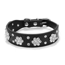 Lade das Bild in den Galerie-Viewer, Glamourös - Hundehalsband für kleine bis mittelgroße Hunde
