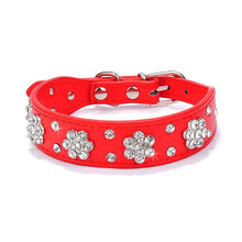 Lade das Bild in den Galerie-Viewer, Glamourös - Hundehalsband für kleine bis mittelgroße Hunde
