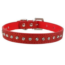 Lade das Bild in den Galerie-Viewer, Glamourös - Hundehalsband für kleine bis mittelgroße Hunde
