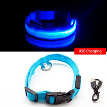 Lade das Bild in den Galerie-Viewer, SafeLight - Halsband für Hunde mit aufladbarem LED
