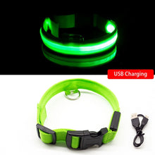 Lade das Bild in den Galerie-Viewer, SafeLight - Halsband für Hunde mit aufladbarem LED
