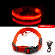 Lade das Bild in den Galerie-Viewer, SafeLight - Halsband für Hunde mit aufladbarem LED
