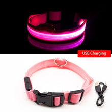 Lade das Bild in den Galerie-Viewer, SafeLight - Halsband für Hunde mit aufladbarem LED
