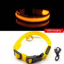 Lade das Bild in den Galerie-Viewer, SafeLight - Halsband für Hunde mit aufladbarem LED
