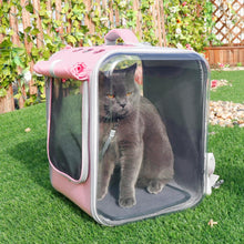Lade das Bild in den Galerie-Viewer, Together - Hunde, Katzen Rucksack mit Fenster, für kleine bis mittelgroße Familienmitglieder
