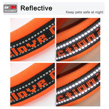 Lade das Bild in den Galerie-Viewer, Springtime - Hundehalsband mit Reflektion

