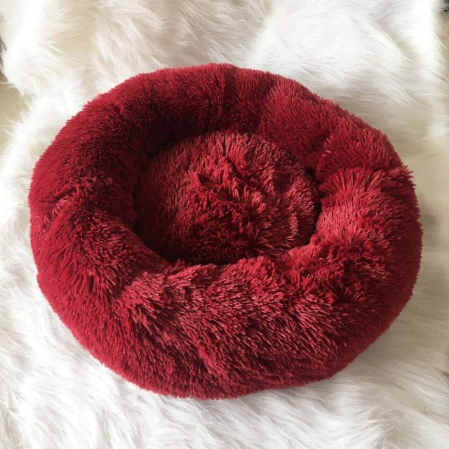 SoftyBed - Hunde / Katzenbett